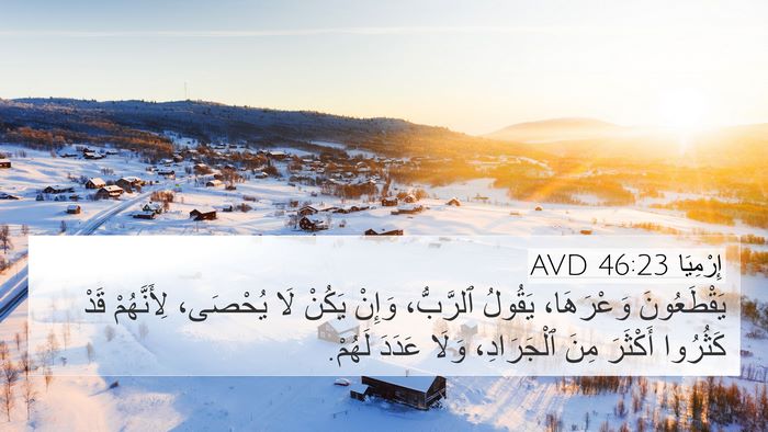 إِرْمِيَا 46:23 AVD Bible Verse Image