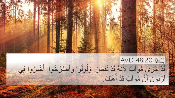 إِرْمِيَا 48:20 AVD Bible Verse Image