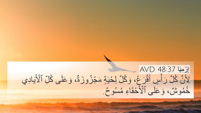 إِرْمِيَا 48:37 AVD Bible Verse Image
