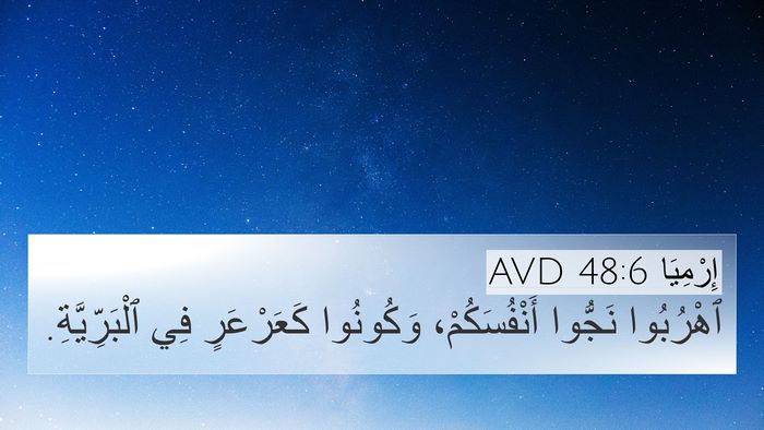 إِرْمِيَا 48:6 AVD Bible Verse Image