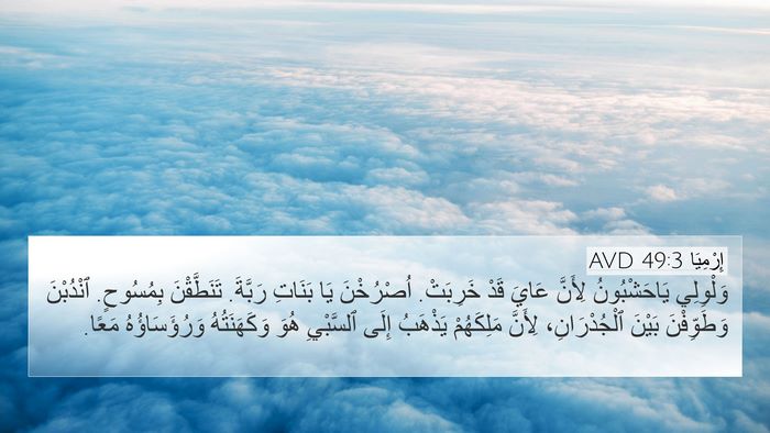 إِرْمِيَا 49:3 AVD 4K Wallpaper - وَلْوِلِي يَاحَشْبُونُ - 4K Wallpaper Bible Verse