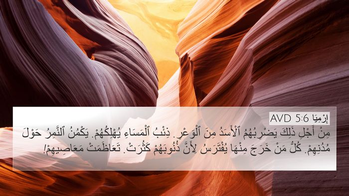 إِرْمِيَا 5:6 AVD Bible Verse Image