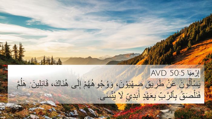 إِرْمِيَا 50:5 AVD Bible Verse Image