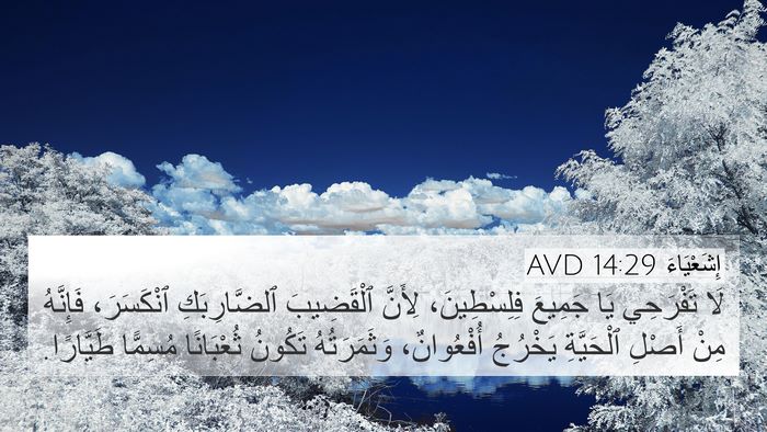 إِشَعْيَاءَ 14:29 AVD Bible Verse Image