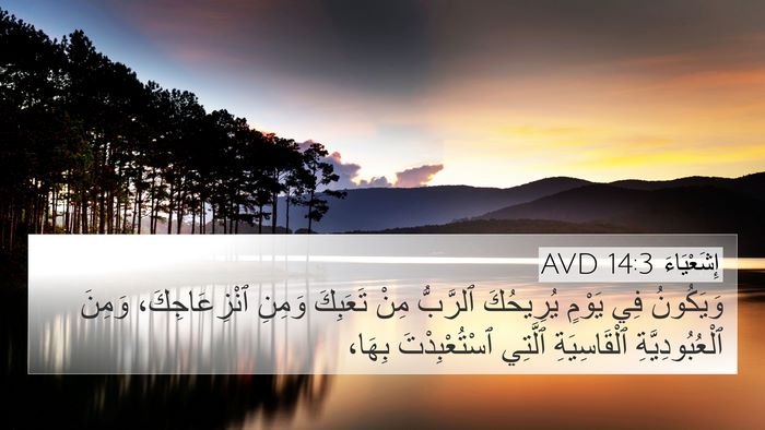 إِشَعْيَاءَ 14:3 AVD Bible Verse Image