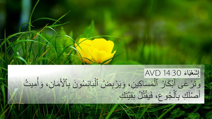 إِشَعْيَاءَ 14:30 AVD 4K Wallpaper - وَتَرْعَى أَبْكَارُ - 4K Wallpaper Bible Verse