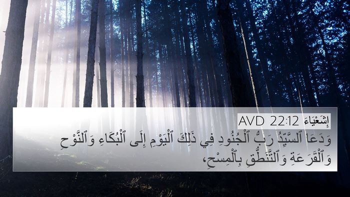 إِشَعْيَاءَ 22:12 AVD Bible Verse Image