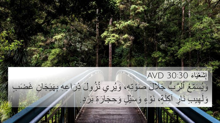 إِشَعْيَاءَ 30:30 AVD Bible Verse Image