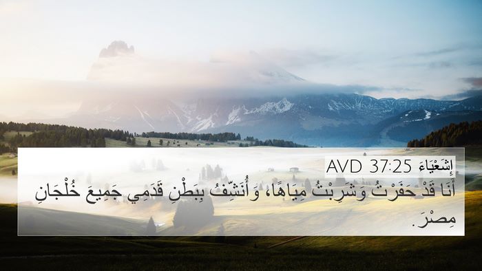 إِشَعْيَاءَ 37:25 AVD Bible Verse Image