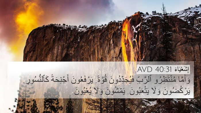 إِشَعْيَاءَ 40:31 AVD Bible Verse Image