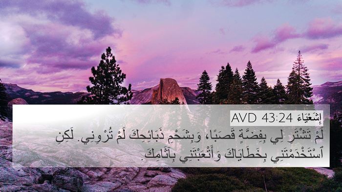 إِشَعْيَاءَ 43:24 AVD Bible Verse Image