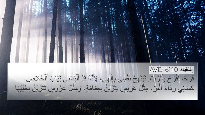 إِشَعْيَاءَ 61:10 AVD Bible Verse Image