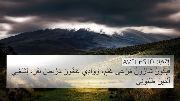 إِشَعْيَاءَ 65:10 AVD Bible Verse Image