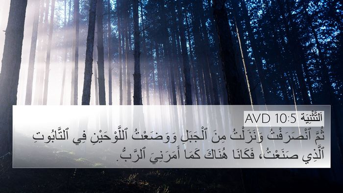 اَلتَّثْنِيَة 10:5 AVD Bible Verse Image