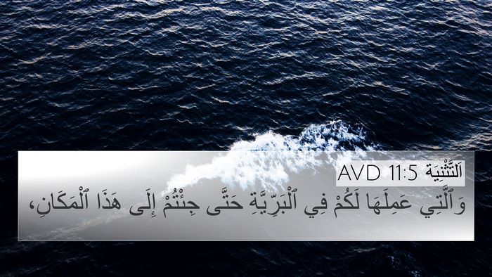 اَلتَّثْنِيَة 11:5 AVD 4K Wallpaper - وَٱلَّتِي عَمِلَهَا - 4K Wallpaper Bible Verse