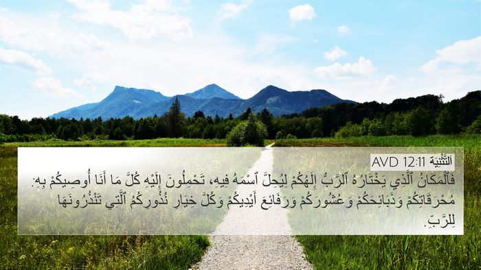 اَلتَّثْنِيَة 12:11 AVD Bible Verse Image