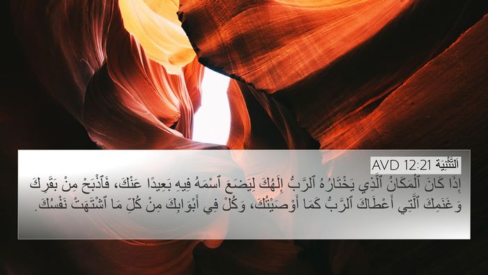 اَلتَّثْنِيَة 12:21 AVD Bible Verse Image