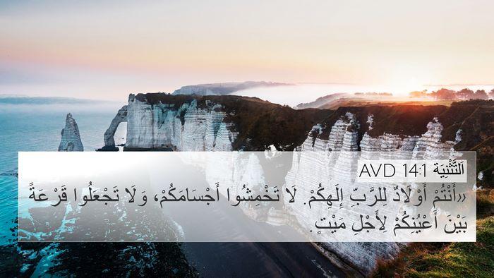 اَلتَّثْنِيَة 14:1 AVD Bible Verse Image