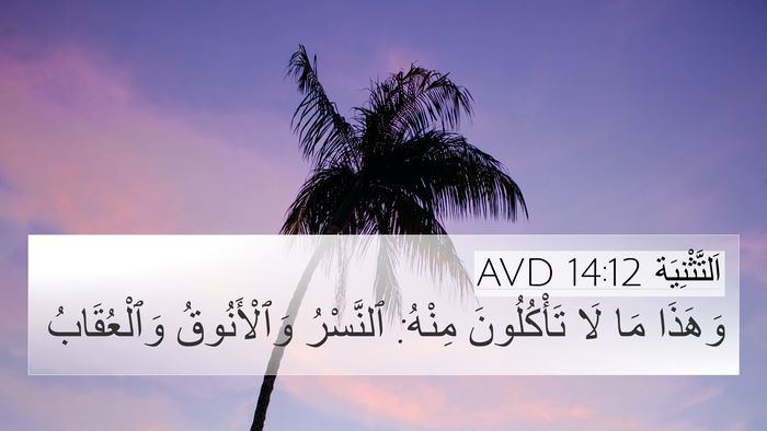 اَلتَّثْنِيَة 14:12 AVD Bible Verse Image