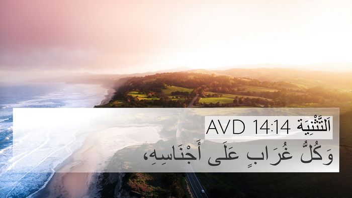 اَلتَّثْنِيَة 14:14 AVD 4K Wallpaper - وَكُلُّ غُرَابٍ عَلَى - 4K Wallpaper Bible Verse