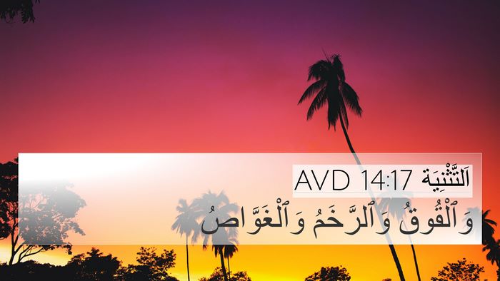 اَلتَّثْنِيَة 14:17 AVD 4K Wallpaper - وَٱلْقُوقُ وَٱلرَّخَمُ - 4K Wallpaper Bible Verse