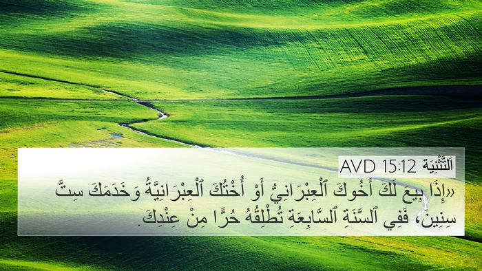 اَلتَّثْنِيَة 15:12 AVD Bible Verse Image