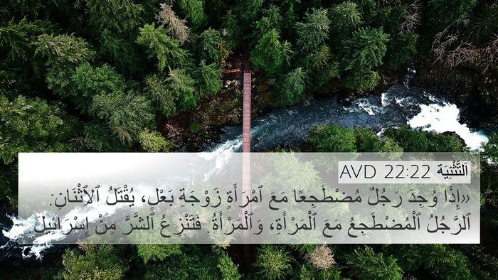 اَلتَّثْنِيَة 22:22 AVD 4K Wallpaper - «إِذَا وُجِدَ رَجُلٌ - 4K Wallpaper Bible Verse