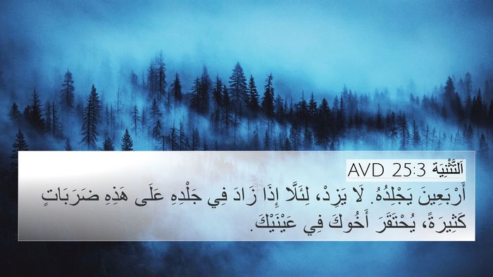 اَلتَّثْنِيَة 25:3 AVD 4K Wallpaper - أَرْبَعِينَ يَجْلِدُهُ. - 4K Wallpaper Bible Verse