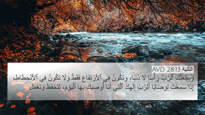 اَلتَّثْنِيَة 28:13 AVD 4K Wallpaper - وَيَجْعَلُكَ ٱلرَّبُّ - 4K Wallpaper Bible Verse