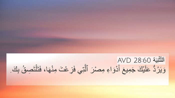 اَلتَّثْنِيَة 28:60 AVD Bible Verse Image