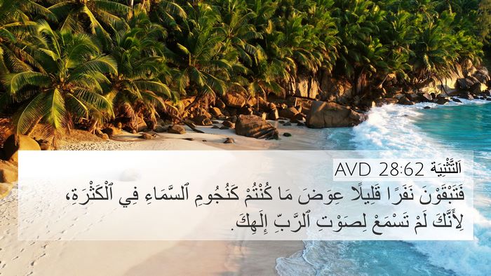 اَلتَّثْنِيَة 28:62 AVD Bible Verse Image