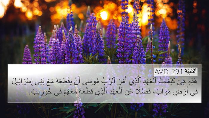 اَلتَّثْنِيَة 29:1 AVD Bible Verse Image