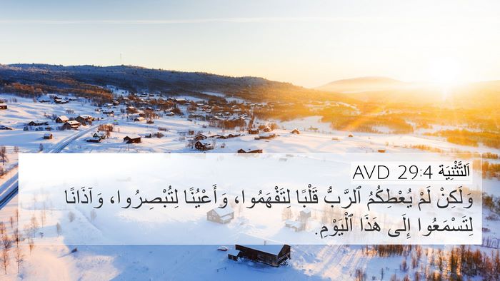اَلتَّثْنِيَة 29:4 AVD Bible Verse Image