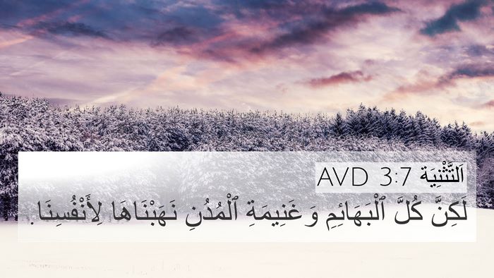 اَلتَّثْنِيَة 3:7 AVD 4K Wallpaper - لَكِنَّ كُلَّ - 4K Wallpaper Bible Verse