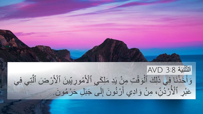 اَلتَّثْنِيَة 3:8 AVD Bible Verse Image