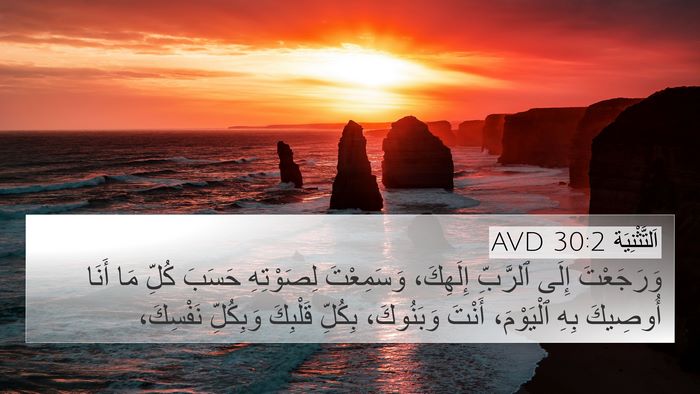 اَلتَّثْنِيَة 30:2 AVD Bible Verse Image