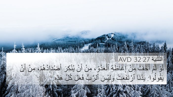 اَلتَّثْنِيَة 32:27 AVD Bible Verse Image