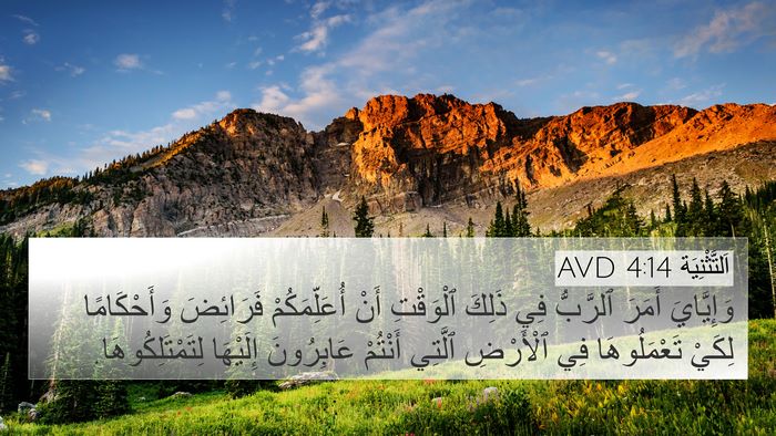 اَلتَّثْنِيَة 4:14 AVD Bible Verse Image