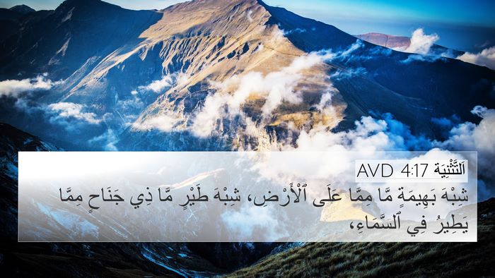 اَلتَّثْنِيَة 4:17 AVD 4K Wallpaper - شِبْهَ بَهِيمَةٍ مَّا - 4K Wallpaper Bible Verse