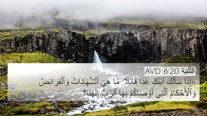 اَلتَّثْنِيَة 6:20 AVD Bible Verse Image