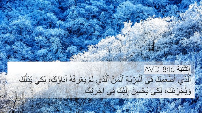 اَلتَّثْنِيَة 8:16 AVD Bible Verse Image