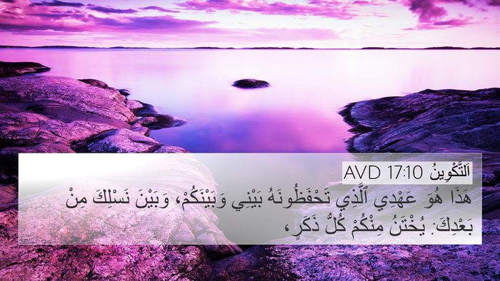 اَلتَّكْوِينُ 17:10 AVD Bible Verse Image