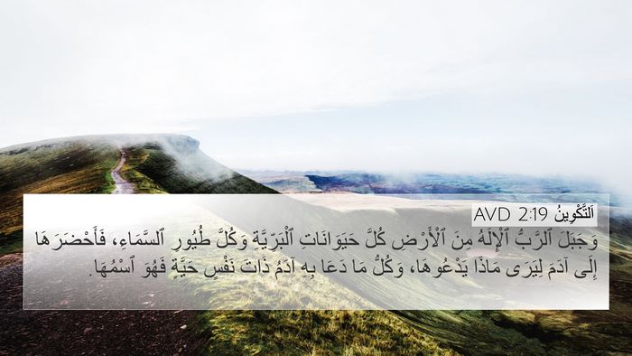 اَلتَّكْوِينُ 2:19 AVD Bible Verse Image