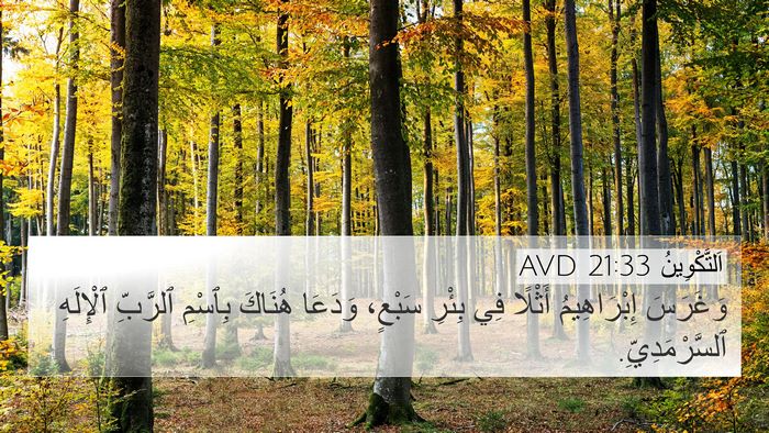 اَلتَّكْوِينُ 21:33 AVD Bible Verse Image