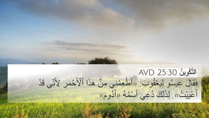 اَلتَّكْوِينُ 25:30 AVD Bible Verse Image