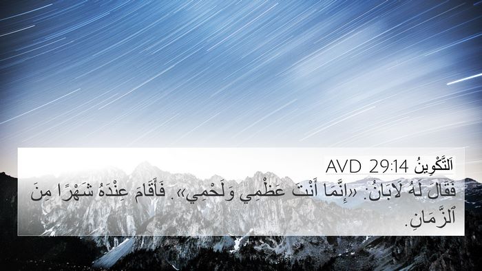 اَلتَّكْوِينُ 29:14 AVD Bible Verse Image