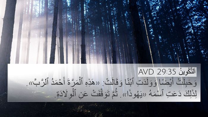 اَلتَّكْوِينُ 29:35 AVD Bible Verse Image