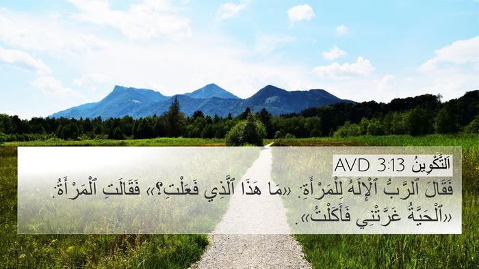 اَلتَّكْوِينُ 3:13 AVD Bible Verse Image
