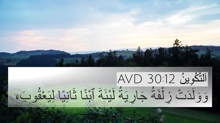 اَلتَّكْوِينُ 30:12 AVD Bible Verse Image