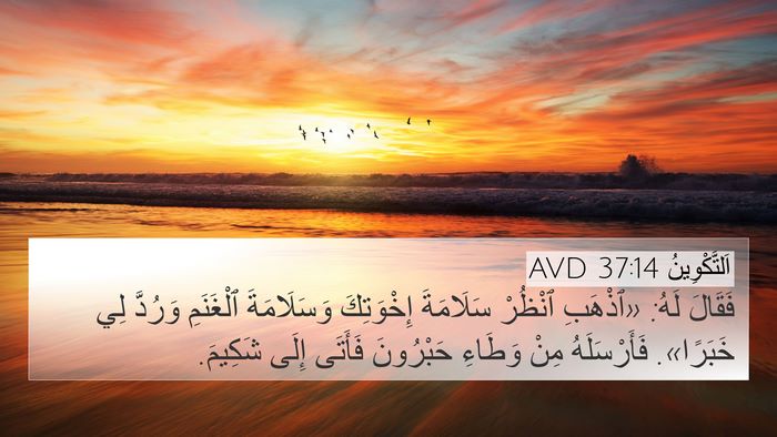 اَلتَّكْوِينُ 37:14 AVD Bible Verse Image